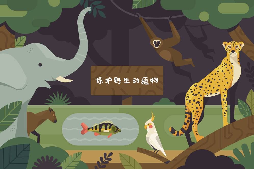 为什么我们需要保护野生动植物？