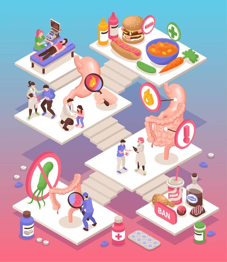 探索消化系统：了解食物是如何在你的身体中消化的！
