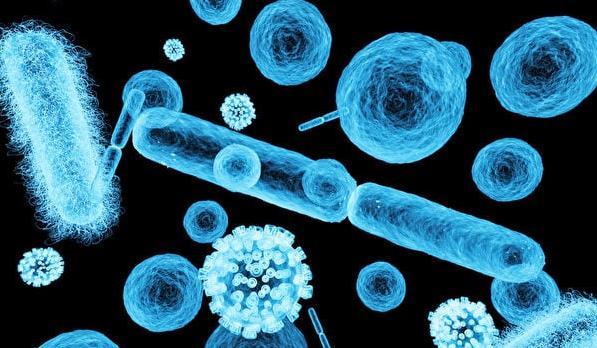 小小入侵者：如何通过医学检验战胜微生物威胁