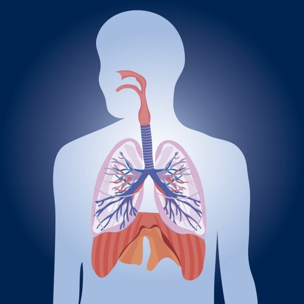 呼吸不畅？肺炎与慢性支气管炎的区别与应对