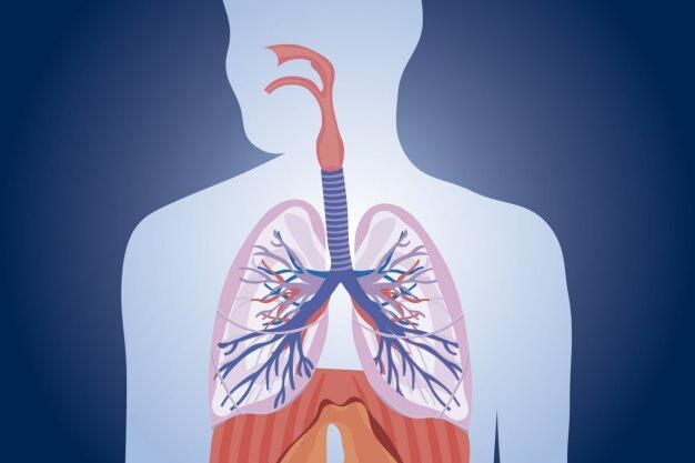 呼吸不畅？肺炎与慢性支气管炎的区别与应对