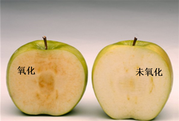 揭秘氧化反应的奥秘