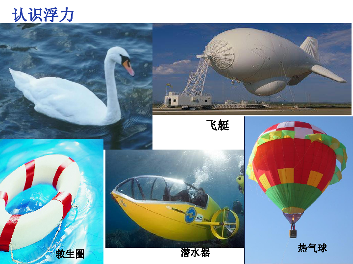 浮力大揭秘：为什么一些物体会浮在水面上？