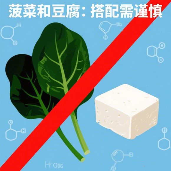 为什么菠菜不能和豆腐一起煮？—— 沉淀反应的 “营养陷阱”