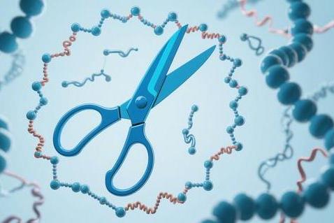 藏在洗衣粉里的 “生物剪刀”：蛋白酶如何让去污更高效？